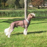 Heerlijk in het park dat doe ik toch wel het liefste!!.. R E N N E…
