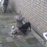 Foto van ingrid kuiper