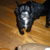 mijn liefe boomer