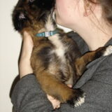 De andere knuffel Genzo