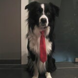 Christmas-Handsome :)