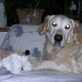 Heb je over mij????...X lieverd