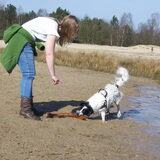 Loonse en drunense duinen