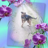 Foto van Claudia & Tank