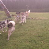 team v lucinda, aangekomen bij de picknick, last but not least