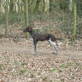 Foto van kelly,s black favoriete