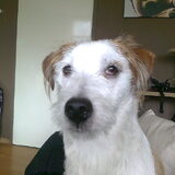 Foto van Jack en Dais
