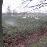 heerlijk rennen in de regen