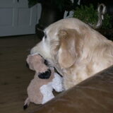 Hebbes!!!X