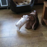 En de handtas van mama is ongelooflijk interessant ;)