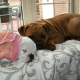 in bad geweest