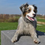 wit is uit...........grijs de nieuwe zomerkleur!