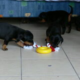 Samen spelen, info :0032(0)495/540109