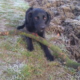 Foto van marlies en goofy