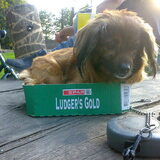 Lieve Nala in haar zelfbedachte mand