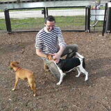 Losloopwei 030411, Rocky met big boss en zijn maatje Pruts
