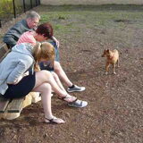 Losloopwei 030411, Rocky aan het kijken naar Pruts en Lana onder de bank