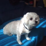 Dina die zag weer wat te eten,anders staart ze zo niet lol
