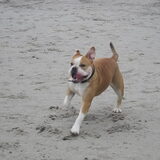 Foto van luna en baasje michal