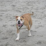 Foto van luna en baasje michal