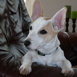 Foto van Esther, Rosco en Teun