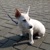 Foto van Esther, Rosco en Teun