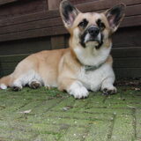 Foto van Evelien & Midas