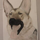 honden acryl op doek