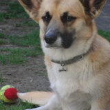 Foto van Evelien & Midas