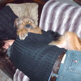 Foto van liesbeth,Turbo,Luna, Levi en Faith