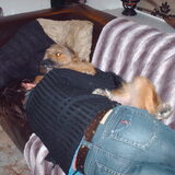 Foto van liesbeth,Turbo,Luna, Levi en Faith
