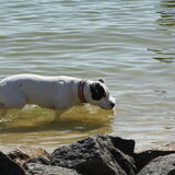 lekker pootje baden