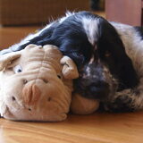 Olly en z'n vriend