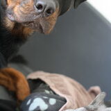 Foto van Hannie met Beer en Chelsea