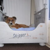 Skipper in zijn 'bed'