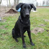 Foto van Eef en Tjibbe