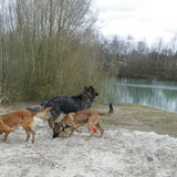 Bentley leert Sky speuren.