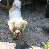 in de modder spelen is favoriet!
