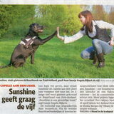 Ad Rotterdamsdagblad
