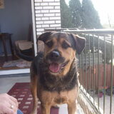 Foto van Claudia & Tank