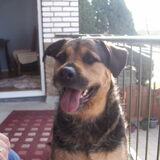 Foto van Claudia & Tank
