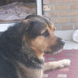 Foto van Claudia & Tank