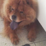 Zo moe na een wandeling =D