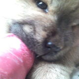 Play time