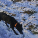 in de sneeuw