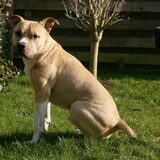 Romeo op zijn tiende verjaardag, 3 Maart 2011