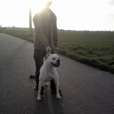 Foto van jordy