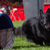 Foto van Hetty & Skipper