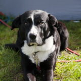 Foto van Hetty & Skipper