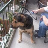 Foto van Claudia & Tank